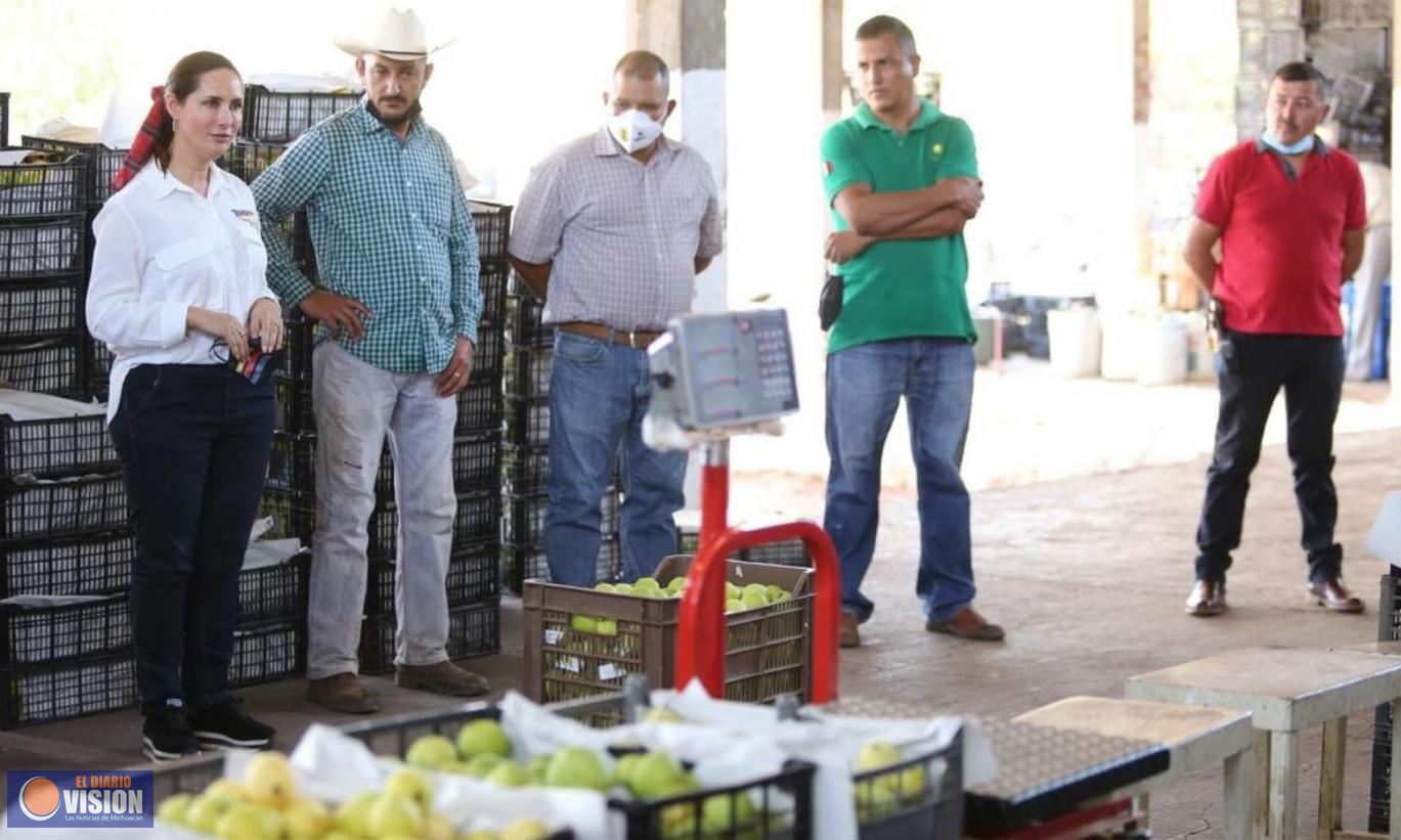 Reorientaré el presupuesto federal para fortalecer el campo: Macarena Chávez
