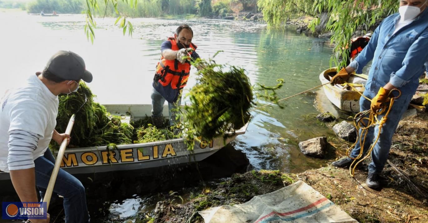 Concluyen jornadas de limpieza del manantial La Mintzita