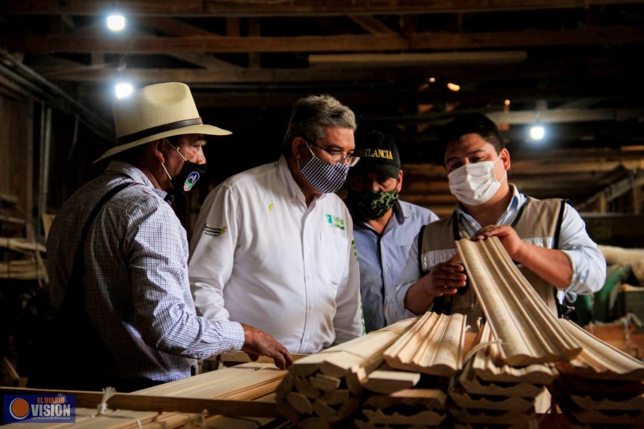 Por la sustentabilidad, Comunidad Indígena de San Juan Parangaricutiro va con Magaña de la Mora