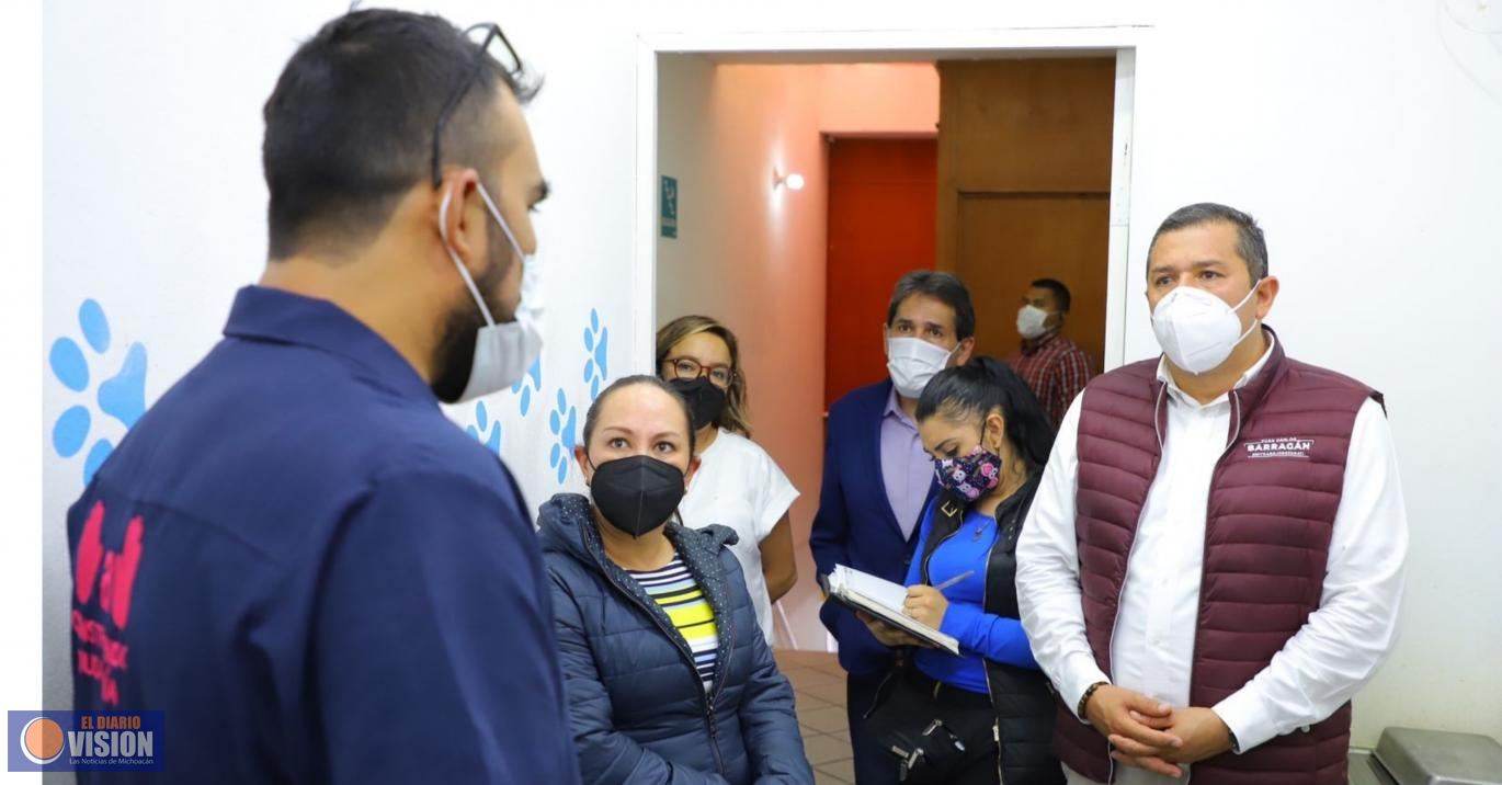 Próximo domingo en Villas del Pedregal jornada de esterilización de mascotas