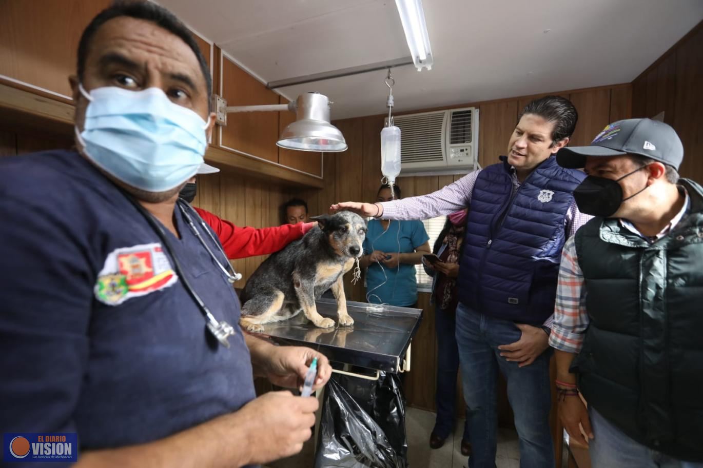 Cuidado animal, acción continúa en administración municipal de Alfonso Martínez