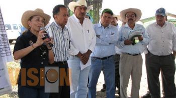 En 13 municipios comienzan a aplicar labranza de conservación