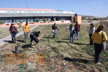 Carrera de Gastronomía de la UTM se une a campaña de reforestación