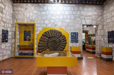 UMSNH y Secretaría de Cultura Federal en colaboración; promueven el Patrimonio Paleontológico